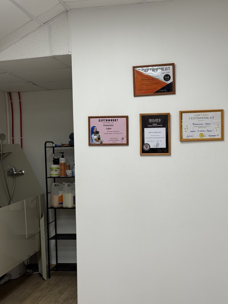 Certificates